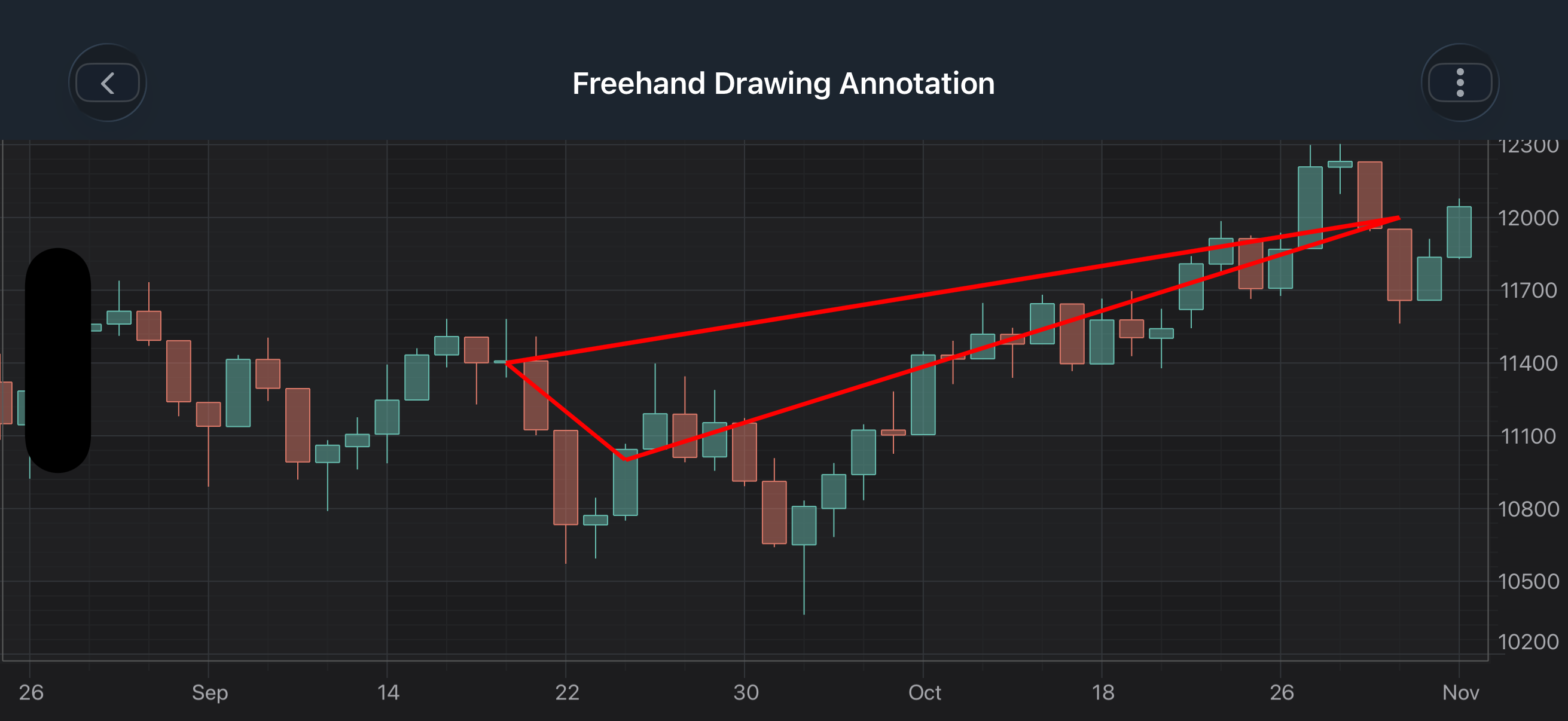 Freehand Drawing Annotation
