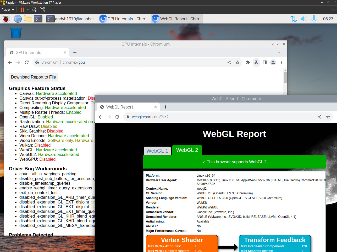 WebGL 2 Supported with Hardware Acceleration in Raspberry Pi OS on VMWare